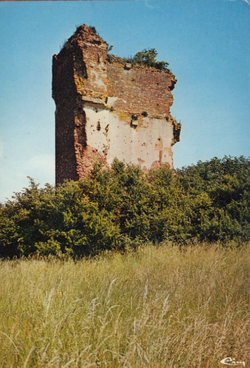 Authumes (71) Le Château 01